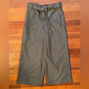 NWOT Banana Republic Factory Rowan Wide Leg Pull On Ankle Length Pants with Belt